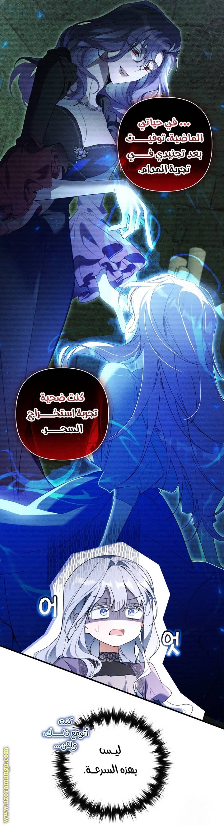 الصفحة 40