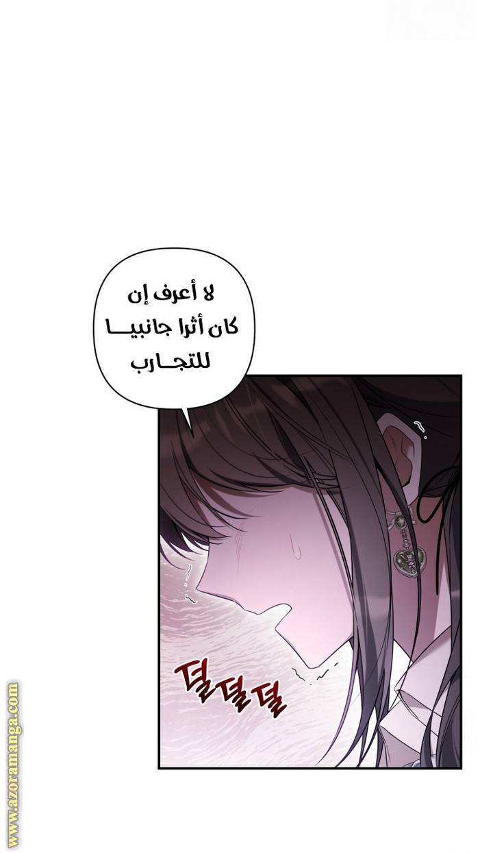 الصفحة 41