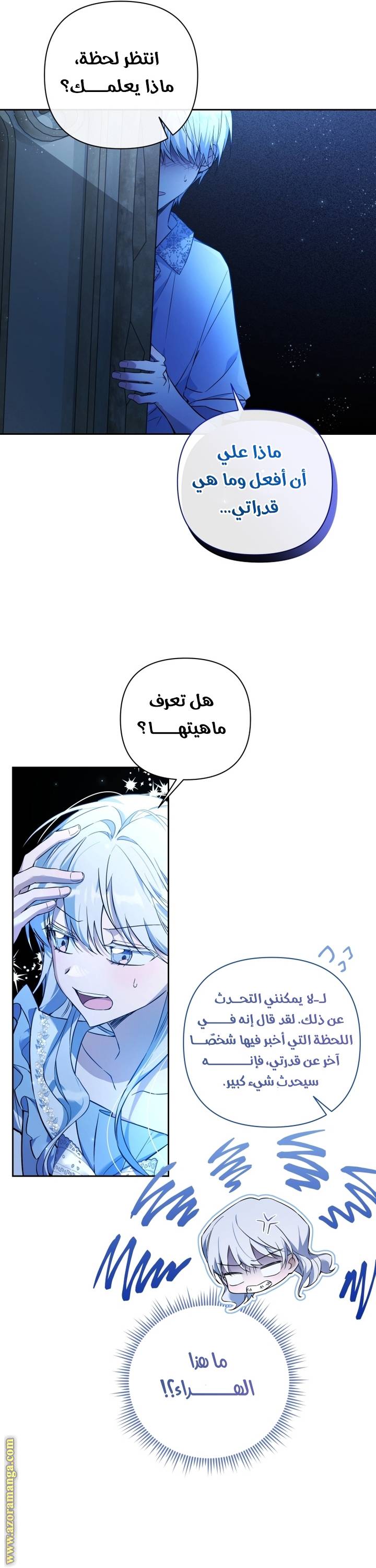 الصفحة 25