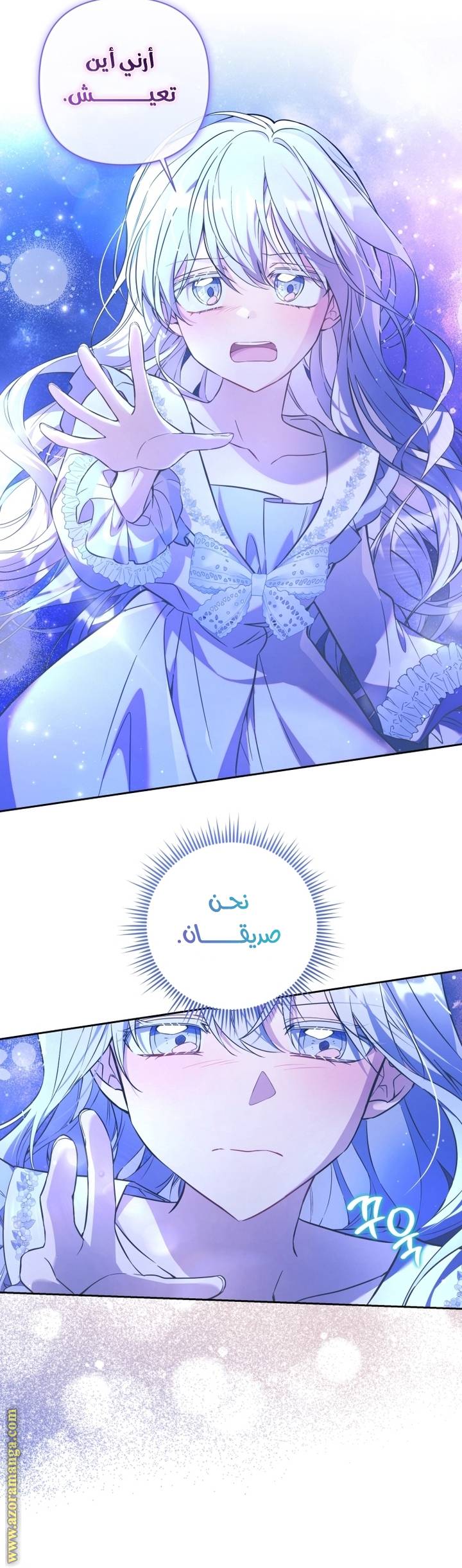 الصفحة 29