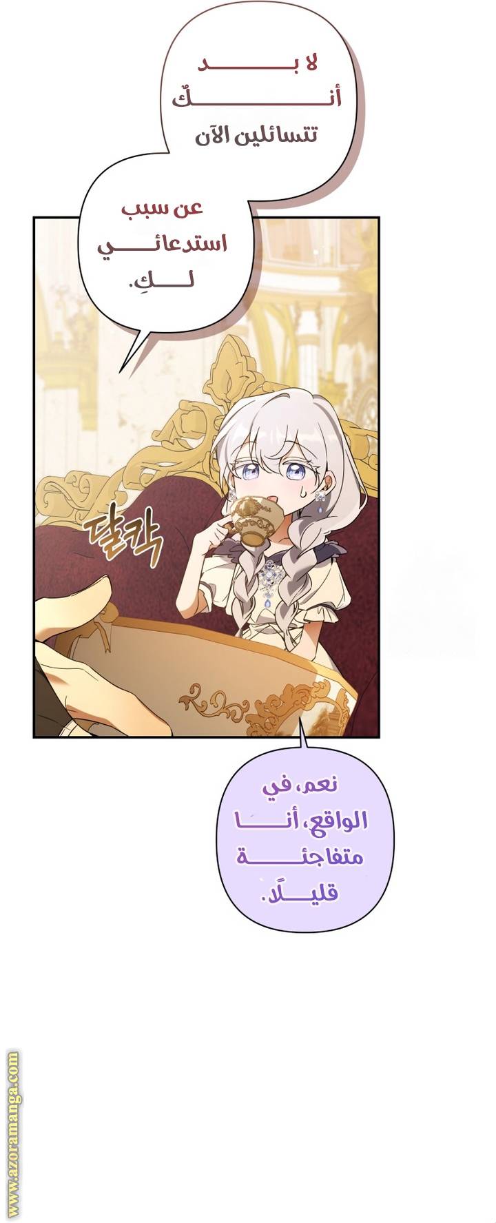 الصفحة 17