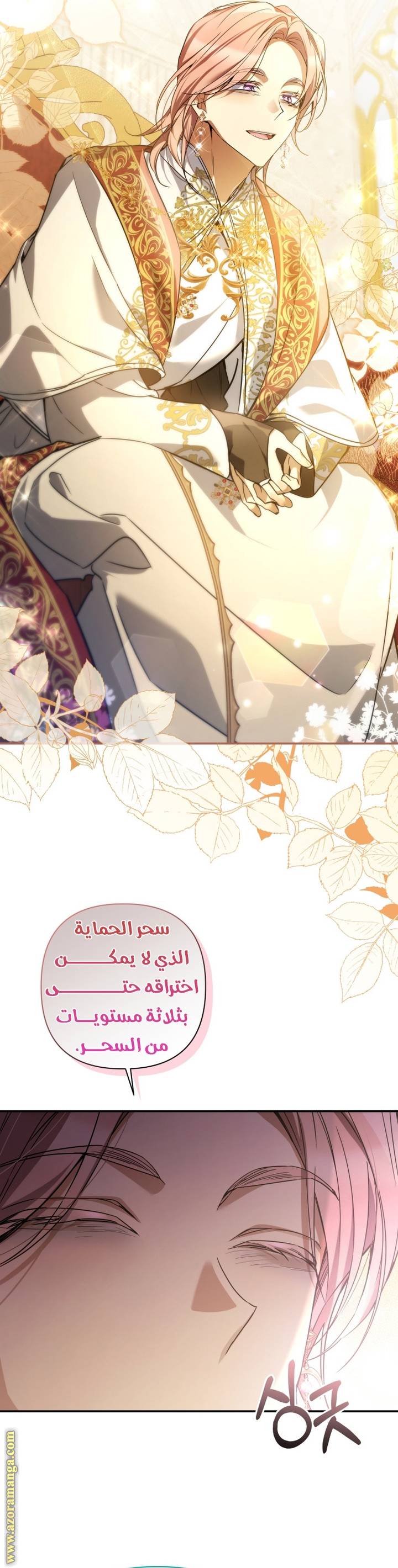 الصفحة 24