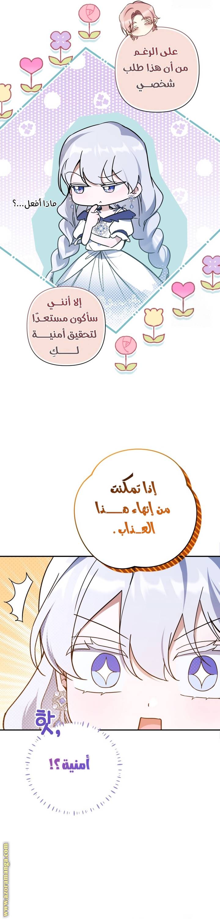 الصفحة 41