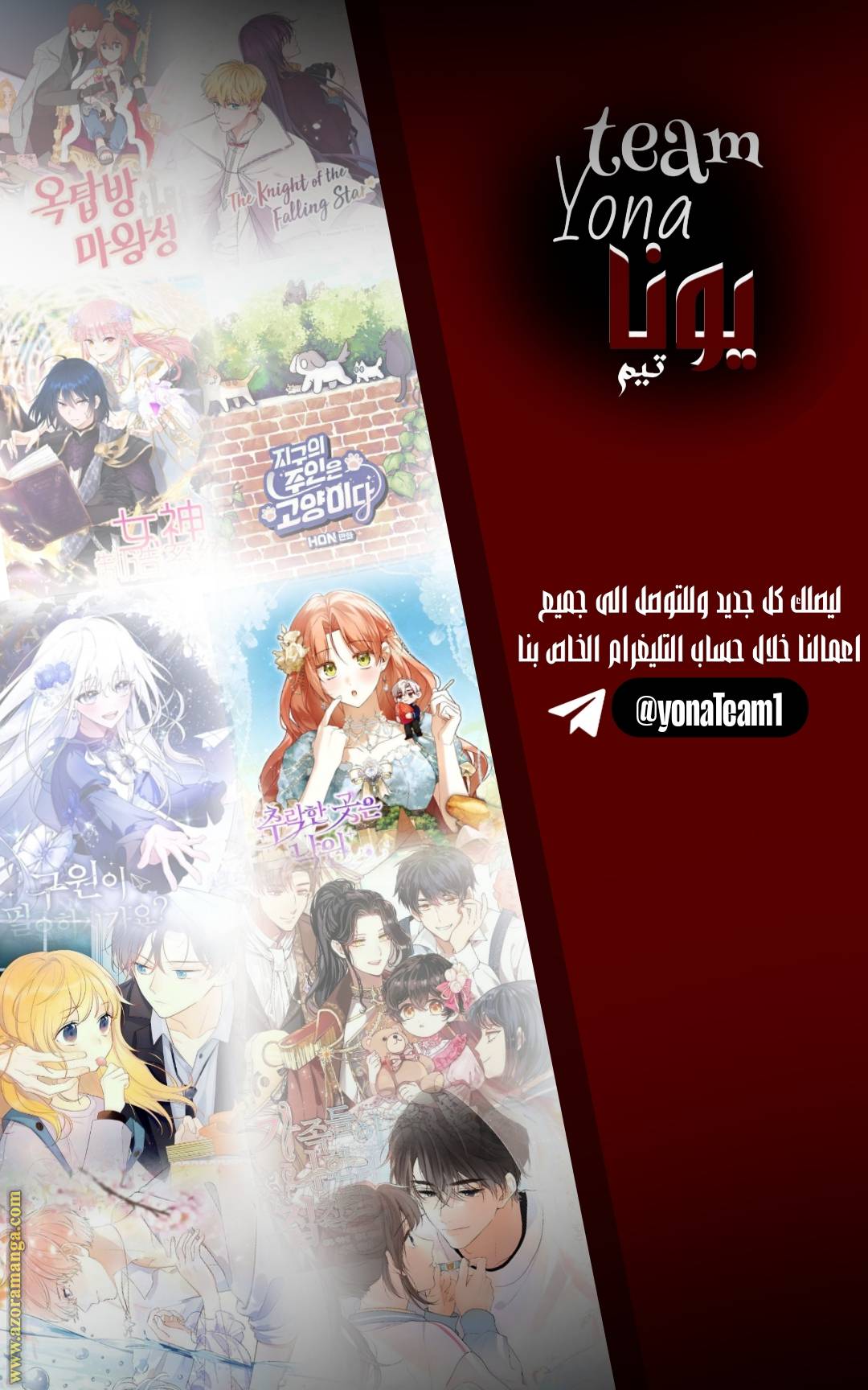 الصفحة 12