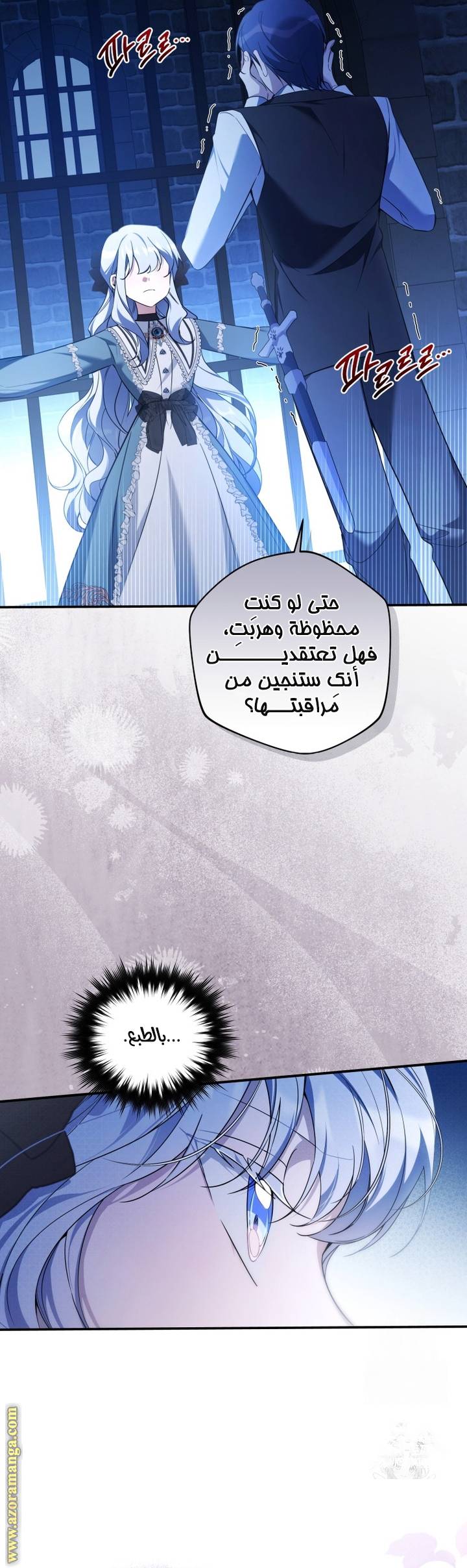 الصفحة 13