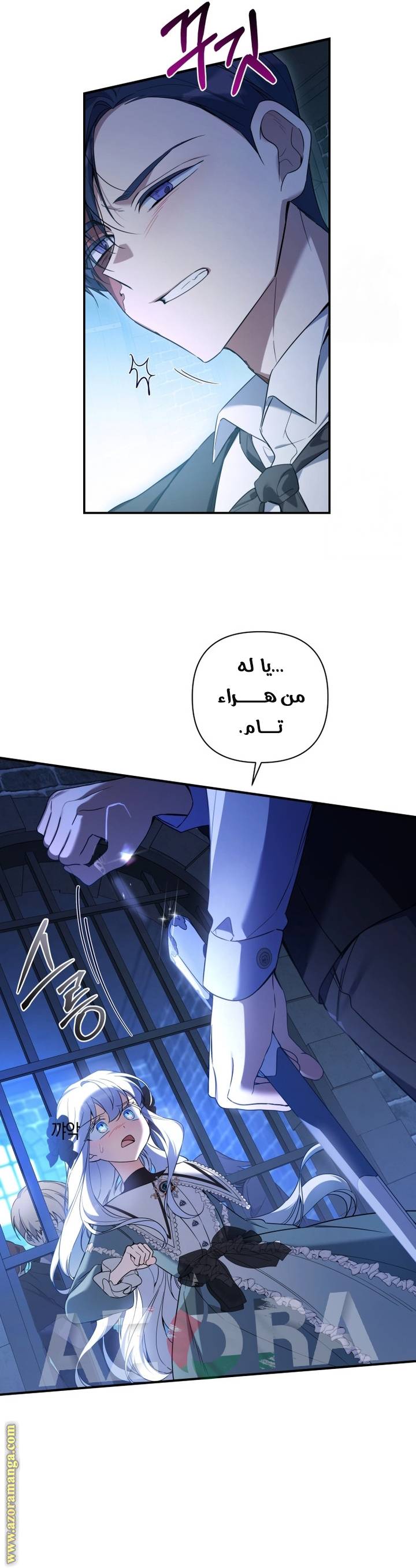 الصفحة 17