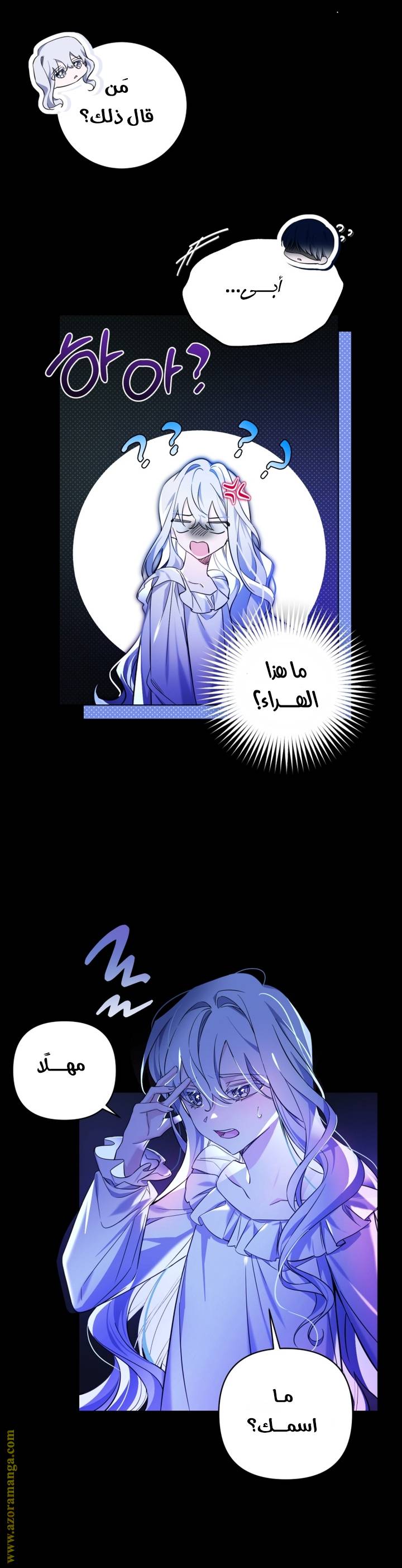 الصفحة 11