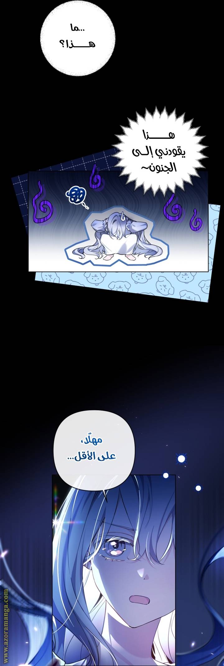 الصفحة 12