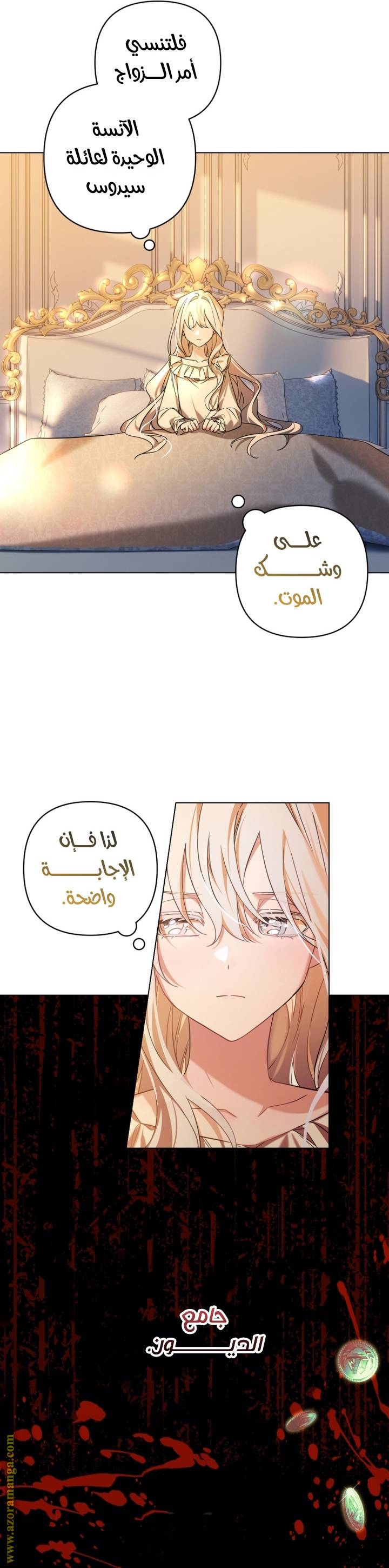 الصفحة 21