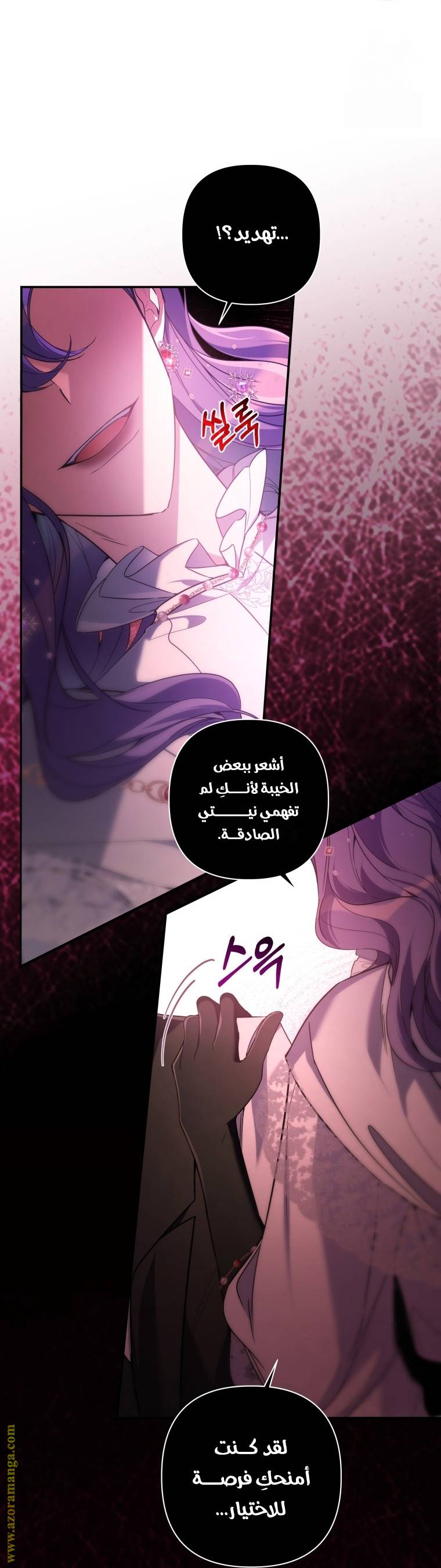 الصفحة 17
