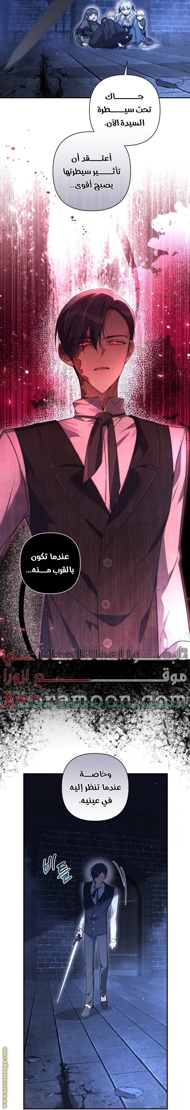 الصفحة 27