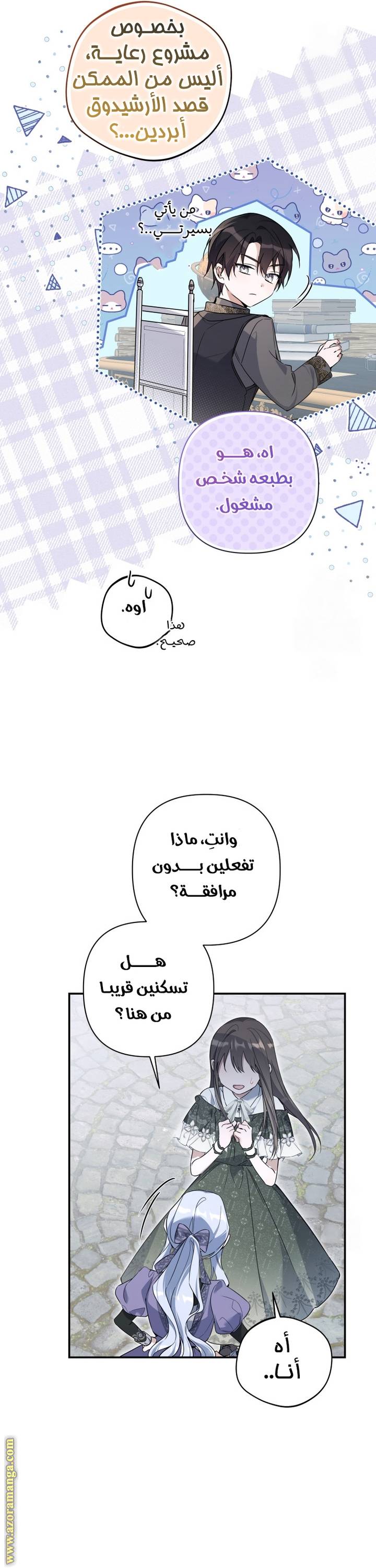 الصفحة 13