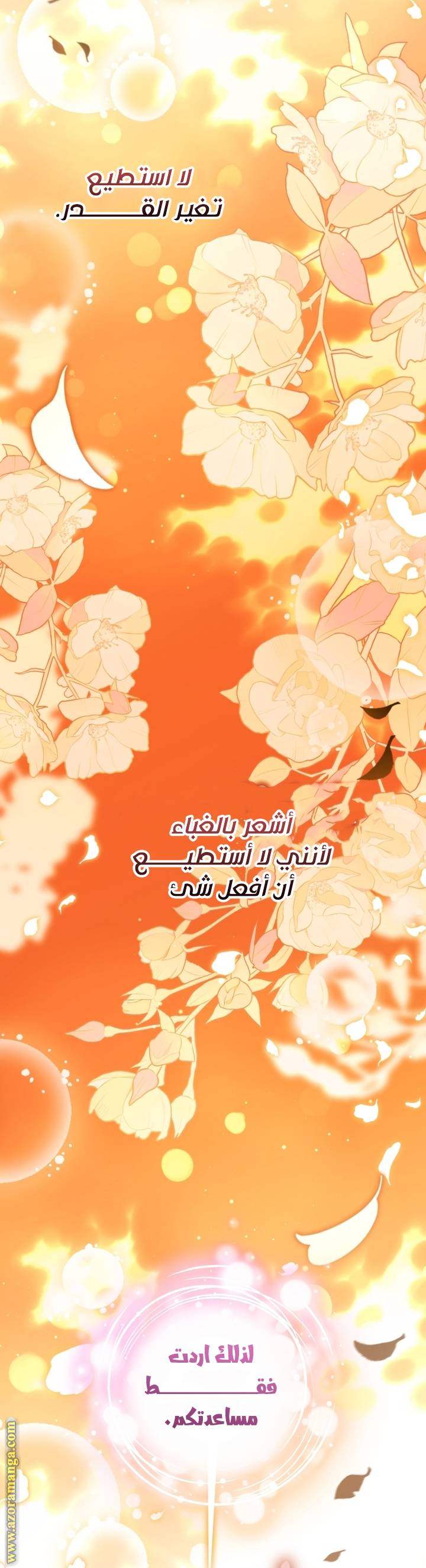 الصفحة 21