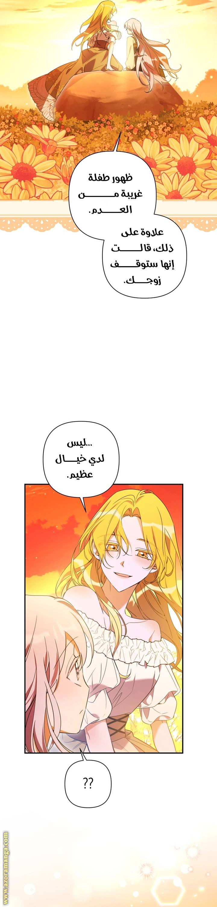 الصفحة 24