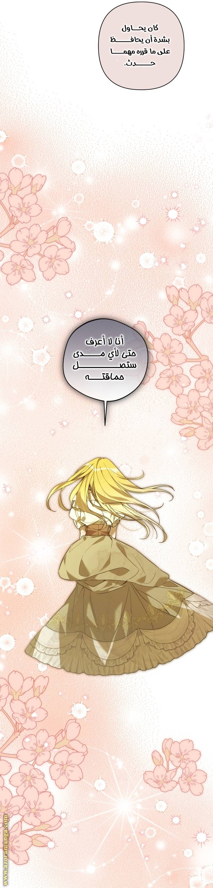 الصفحة 27