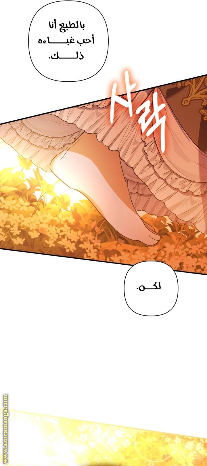 الصفحة 29