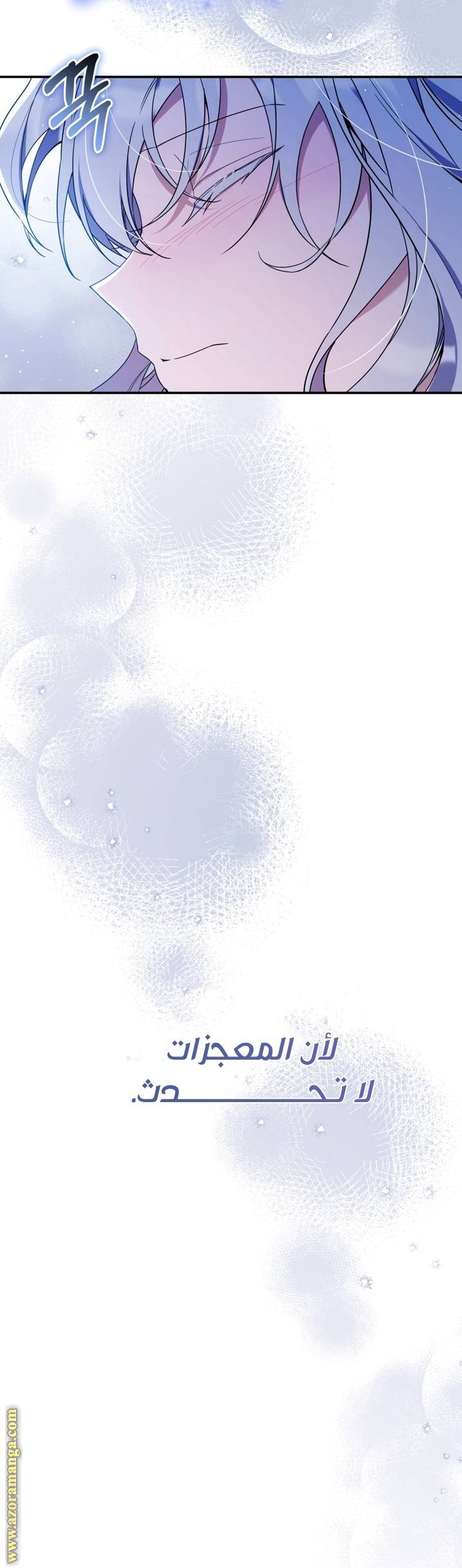 الصفحة 43