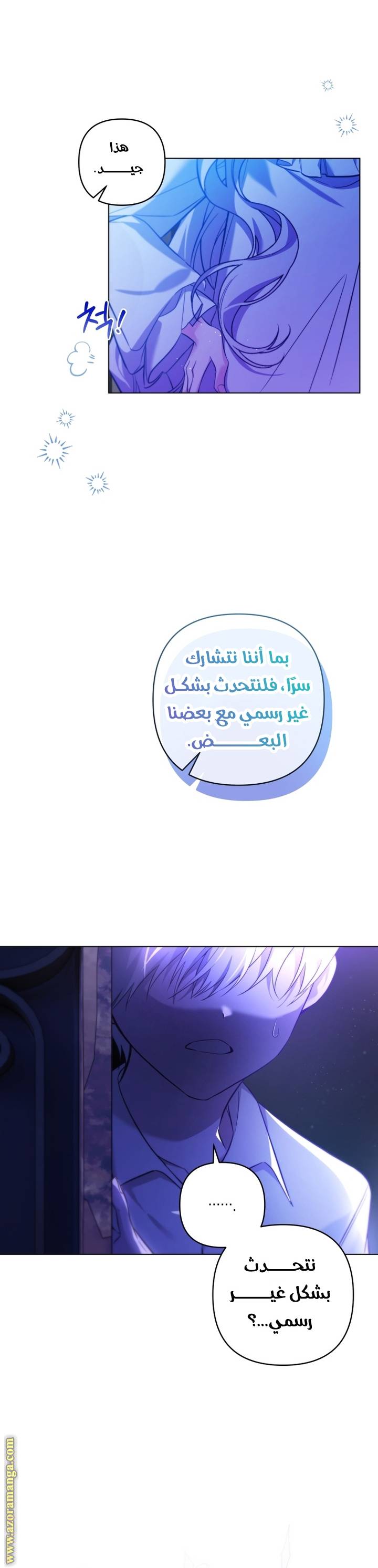 الصفحة 17