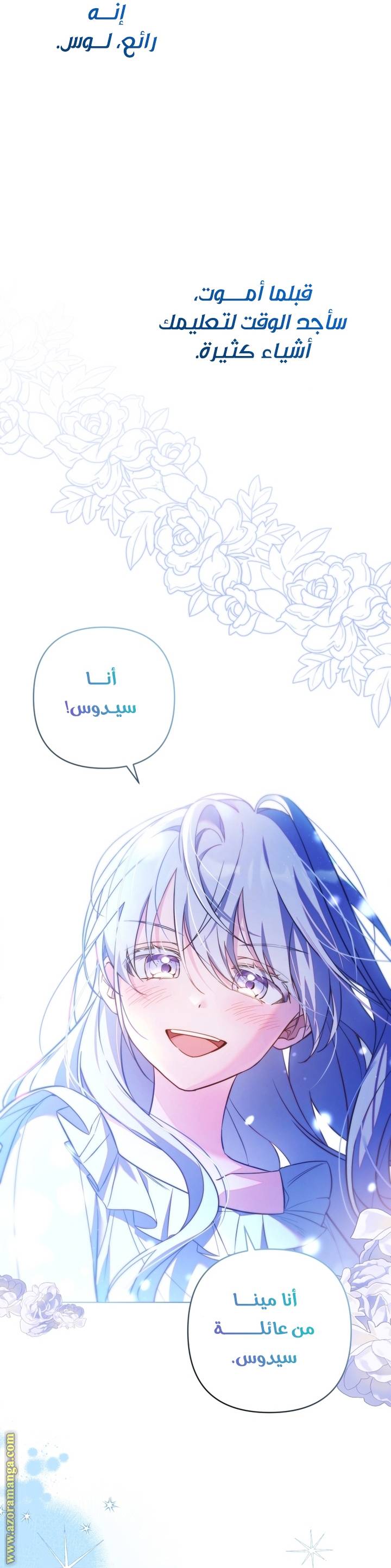 الصفحة 27