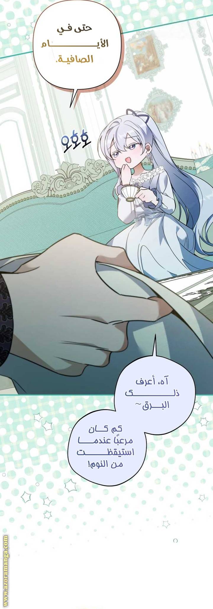 الصفحة 27