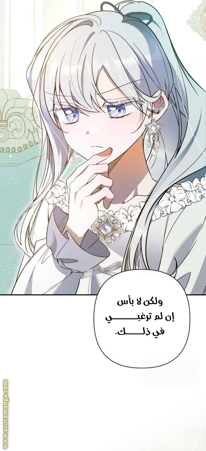 الصفحة 41