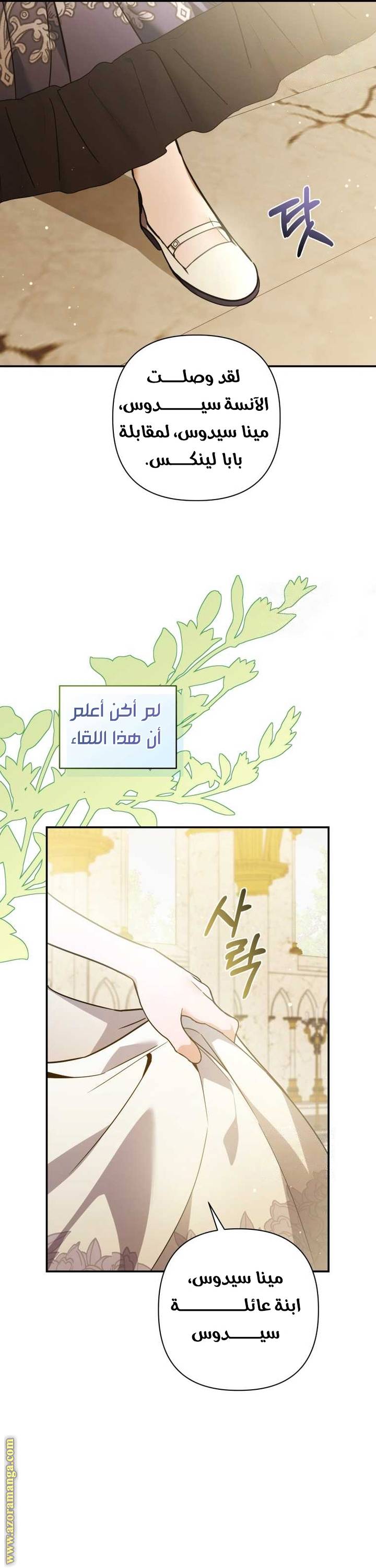 الصفحة 48
