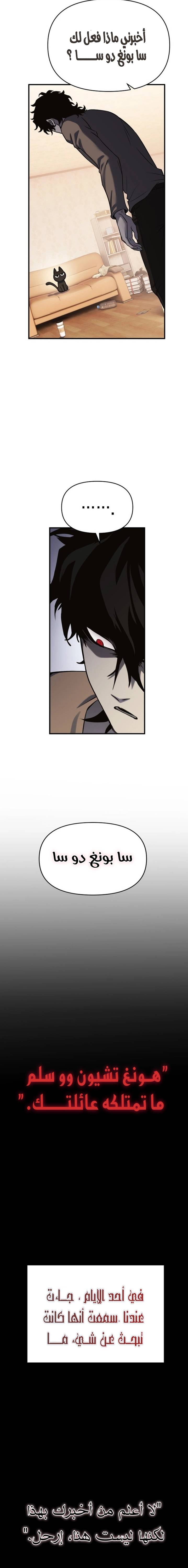 الصفحة 17