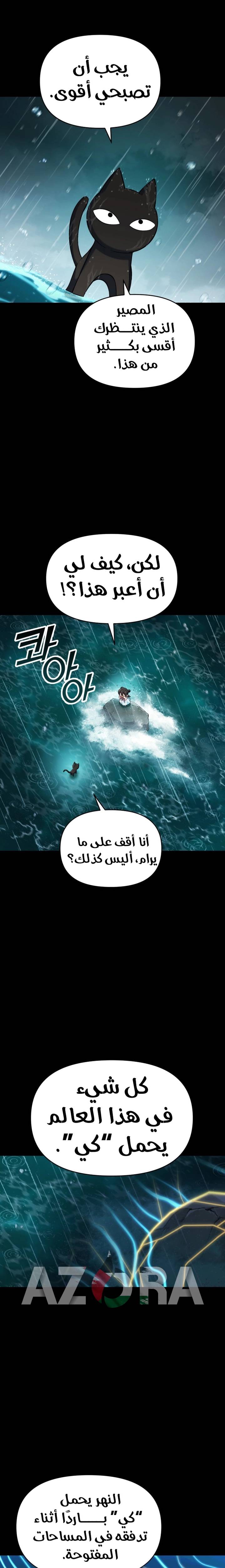 الصفحة 17