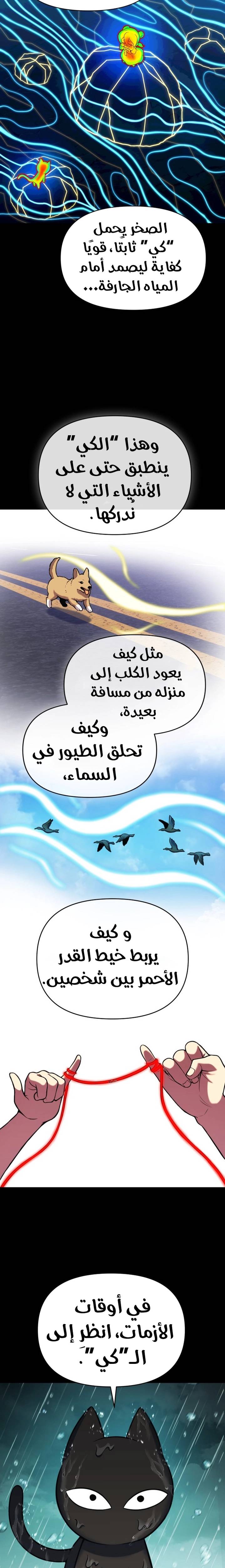 الصفحة 18