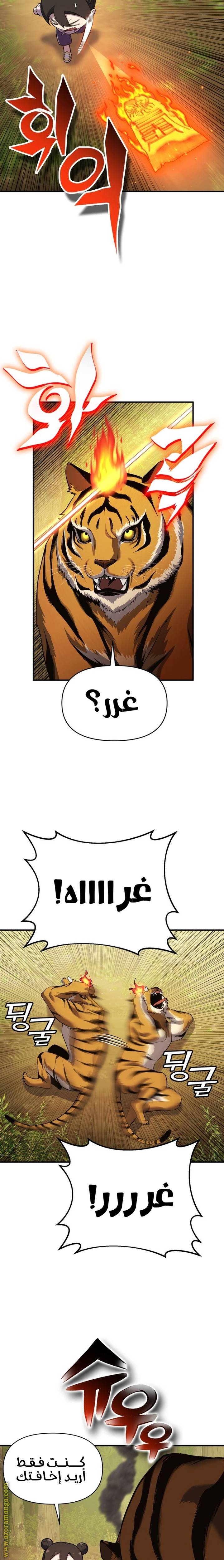 الصفحة 13