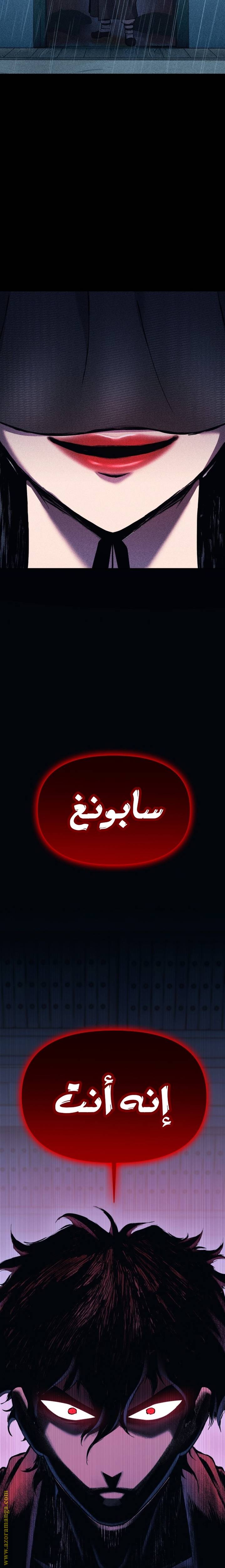 الصفحة 26