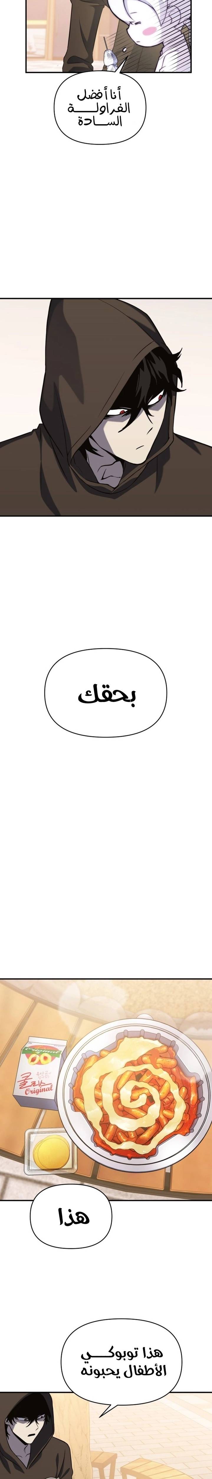 الصفحة 13