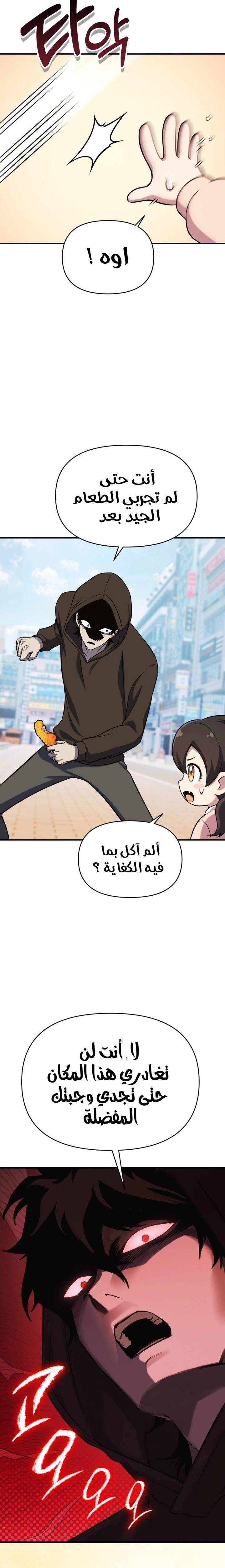 الصفحة 17