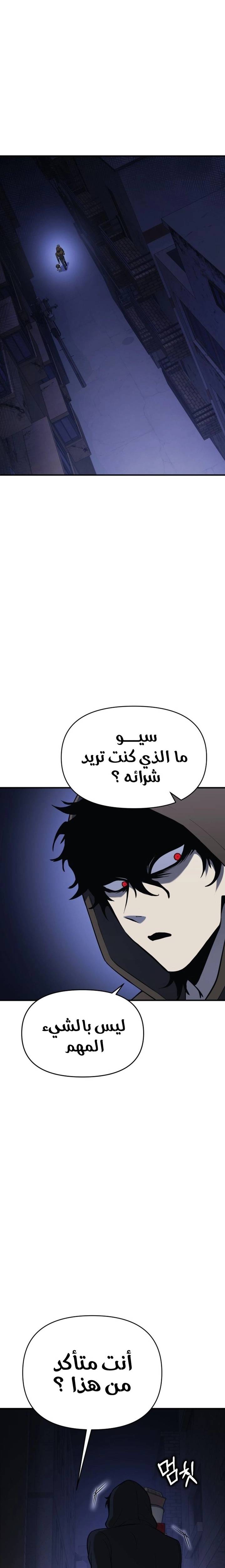 الصفحة 22