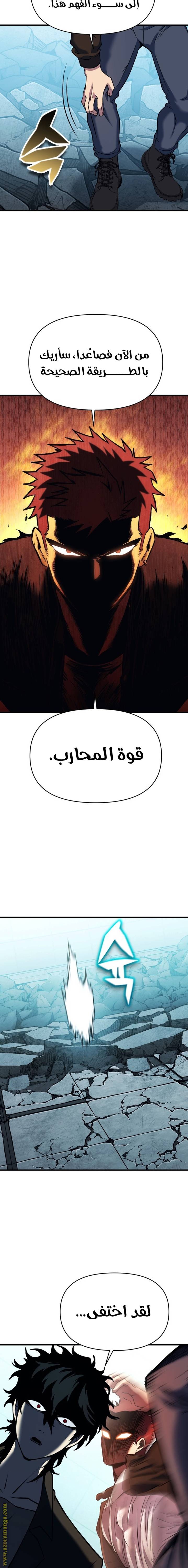 الصفحة 13