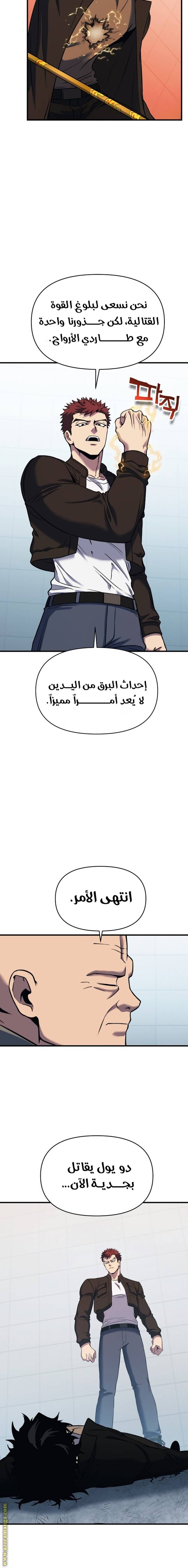 الصفحة 17