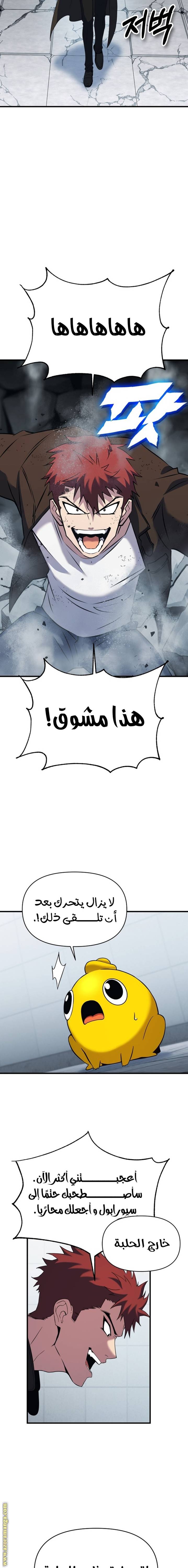 الصفحة 27