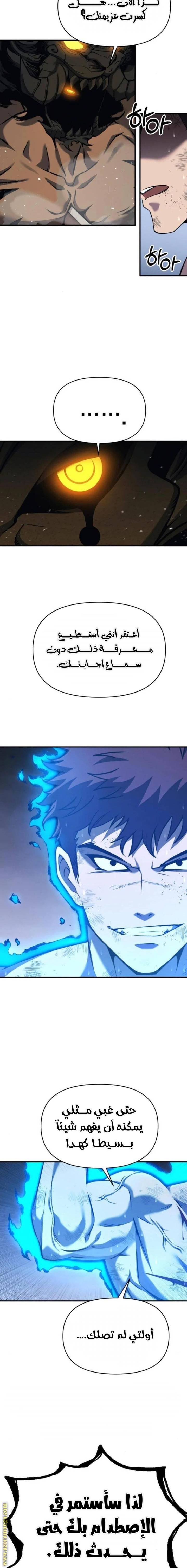 الصفحة 13