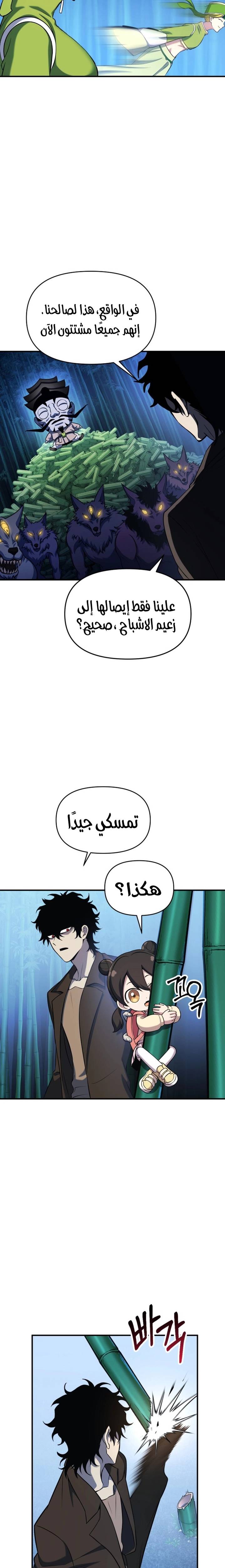 الصفحة 29