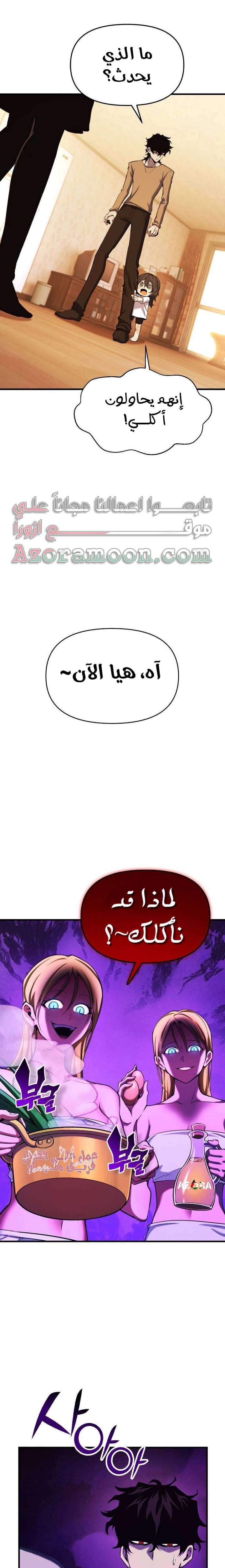 الصفحة 13