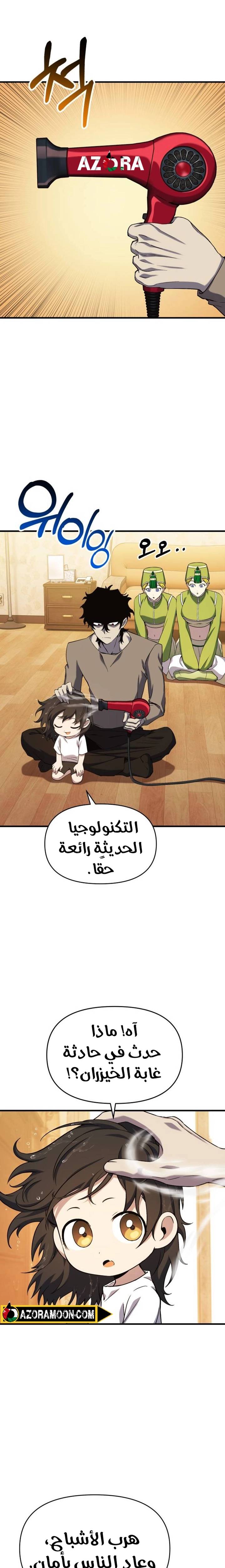 الصفحة 17