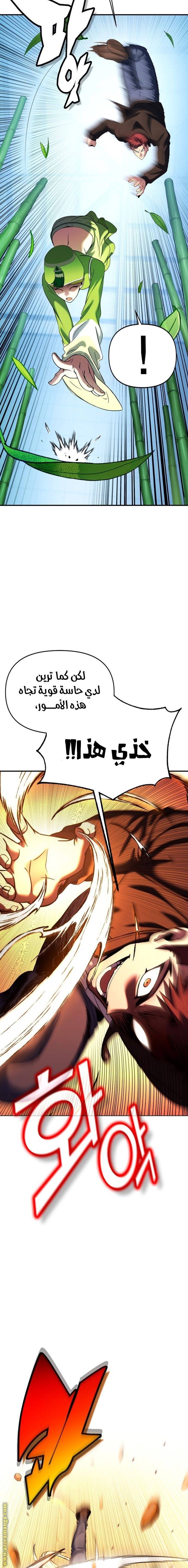 الصفحة 17