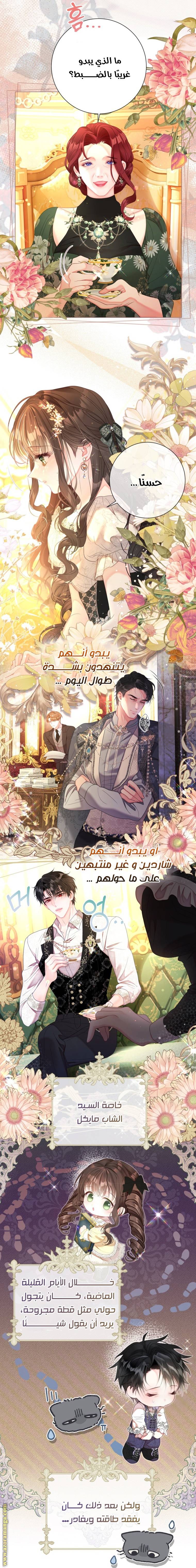 الصفحة 3