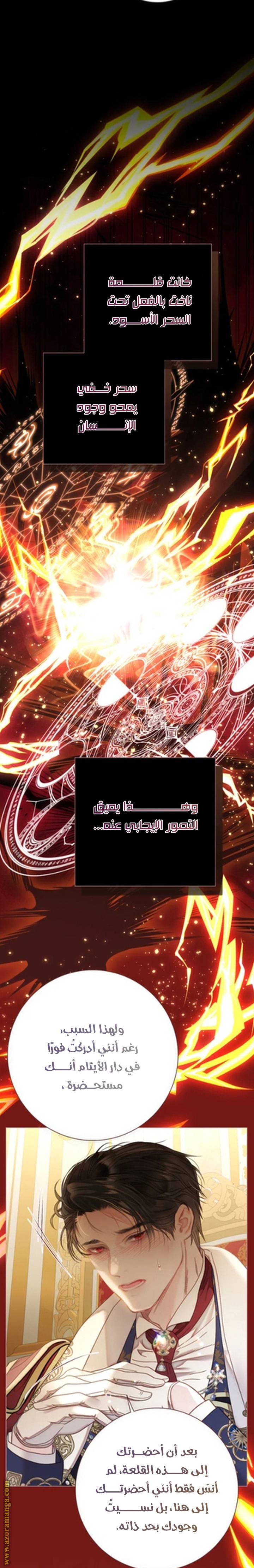 الصفحة 21