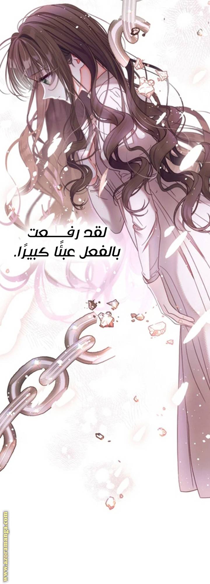 الصفحة 55