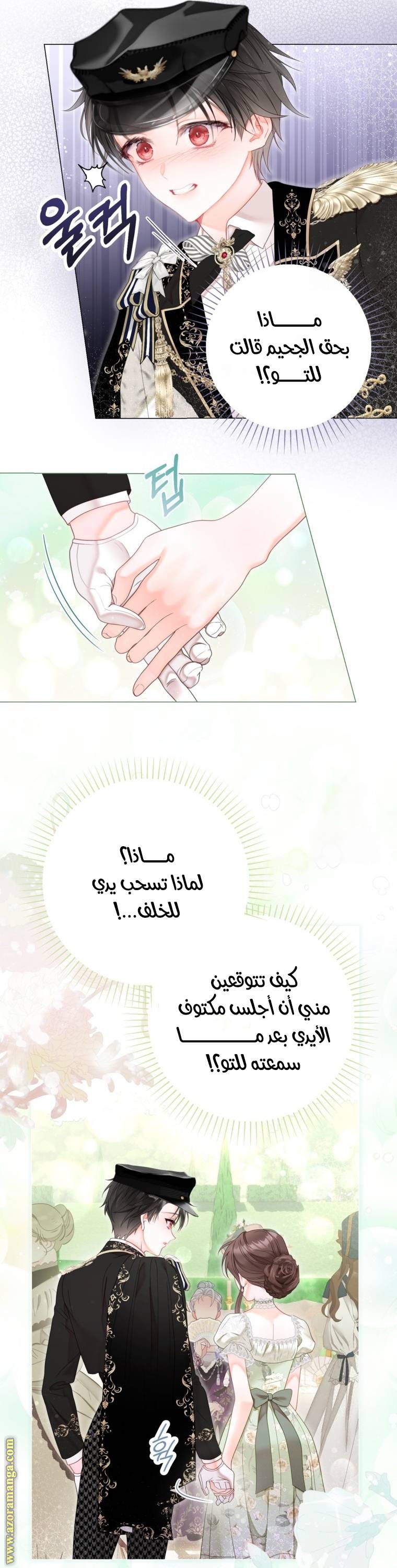 الصفحة 17