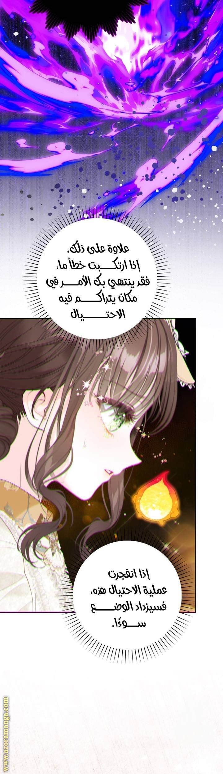 الصفحة 21