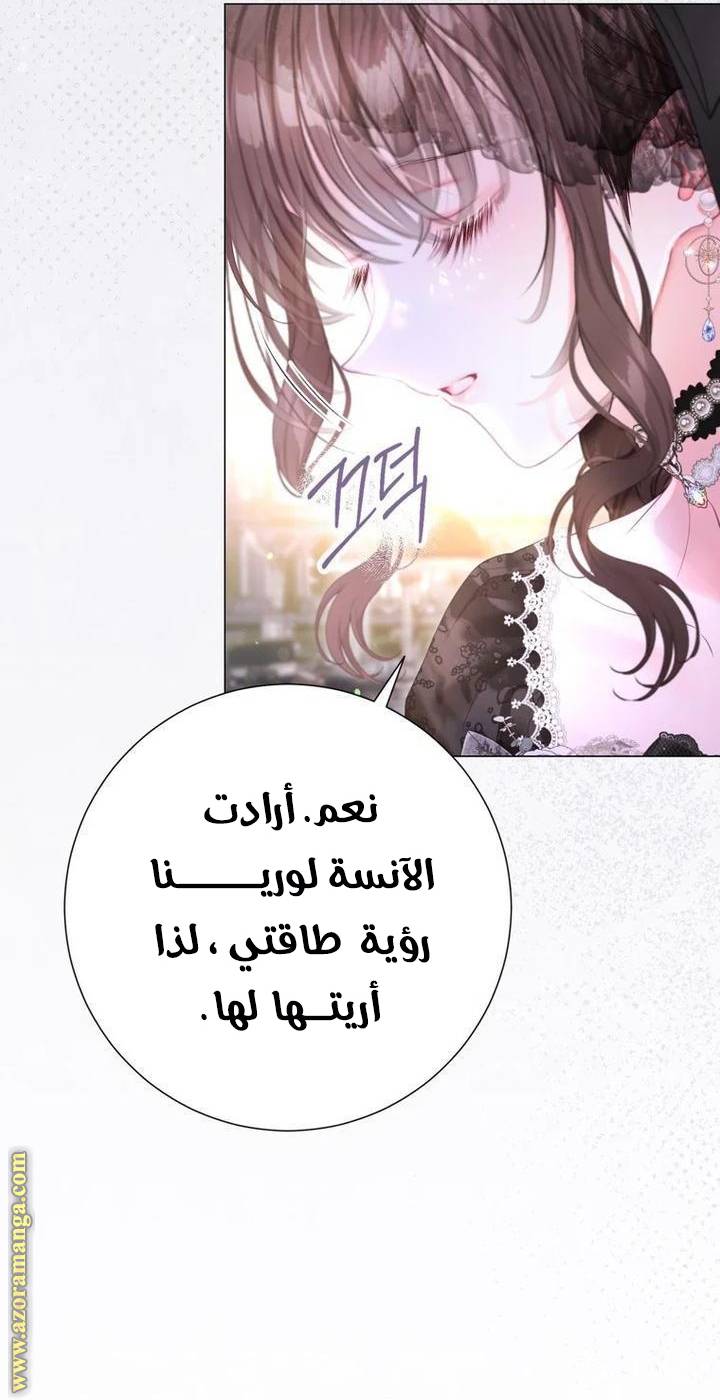 الصفحة 25