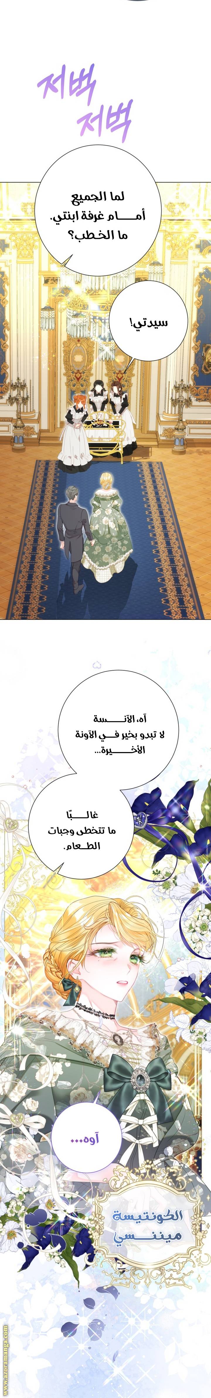الصفحة 13
