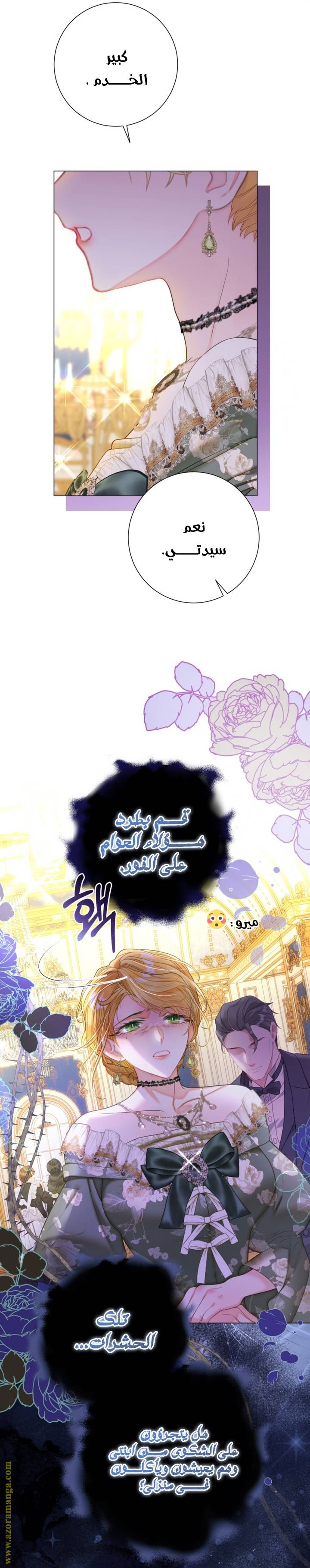 الصفحة 17